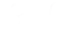 Logo von Ray-Ban mit dem charakteristischen Markenschriftzug